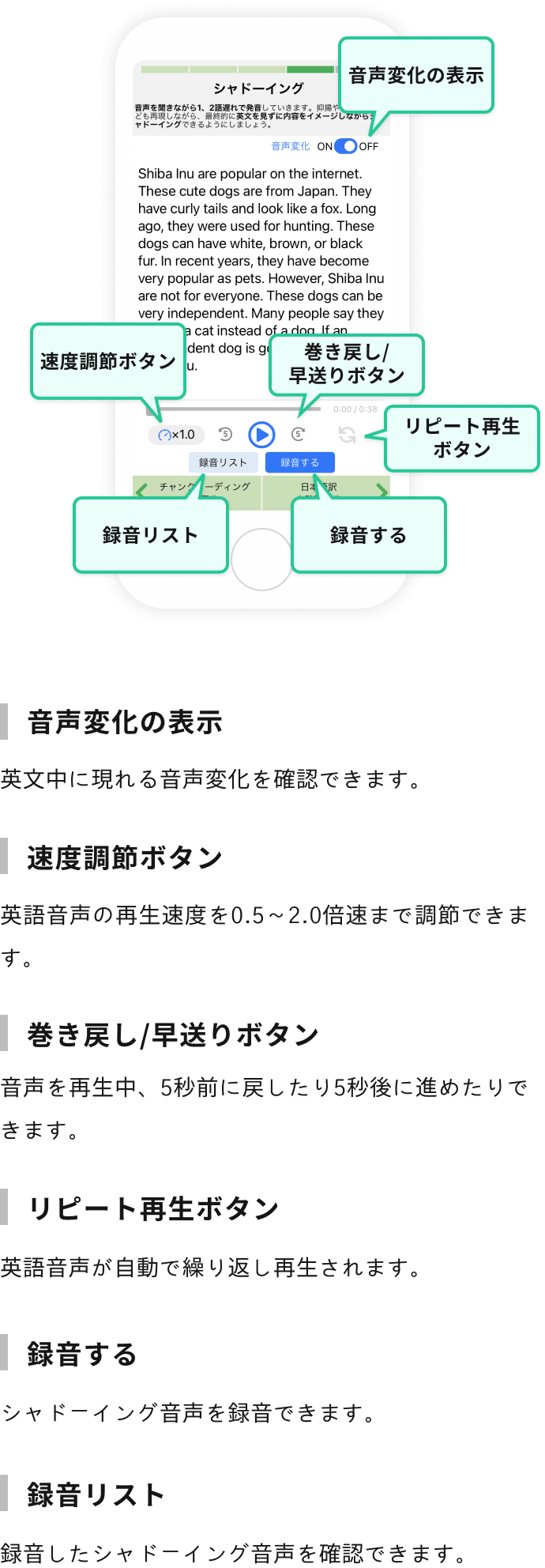 シャドーイング画面説明